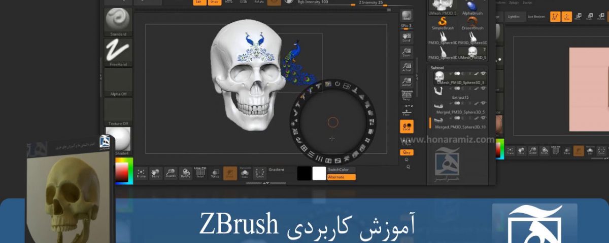 آموزش زیبراش فارسی