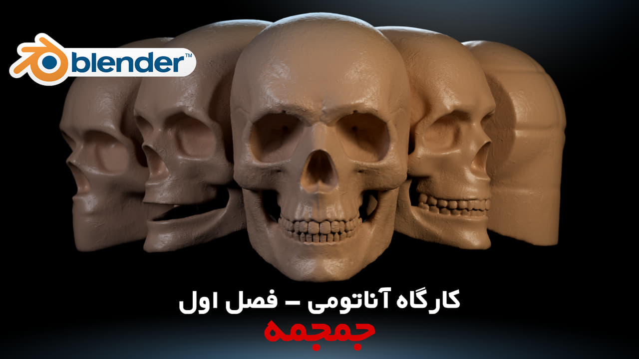 کارگاه آناتومی Anatomy در بلندر Blender جمجمه Skull